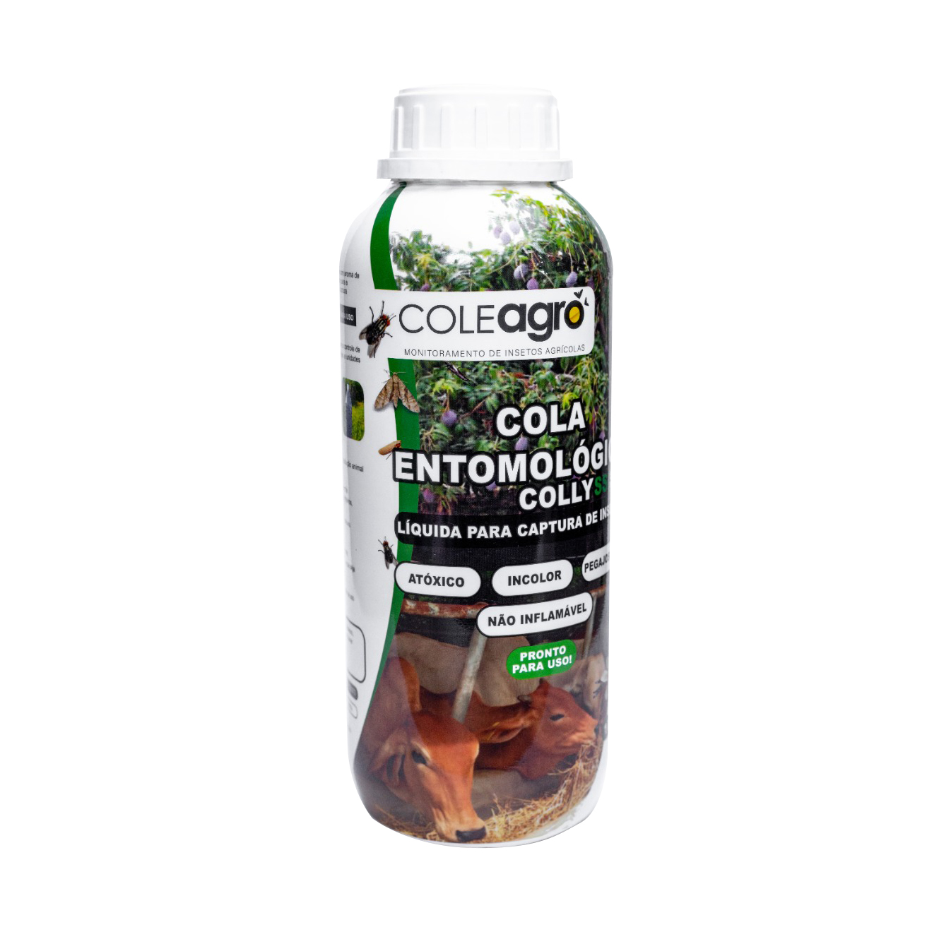 Cola Entomológica Incolor | 1 kg