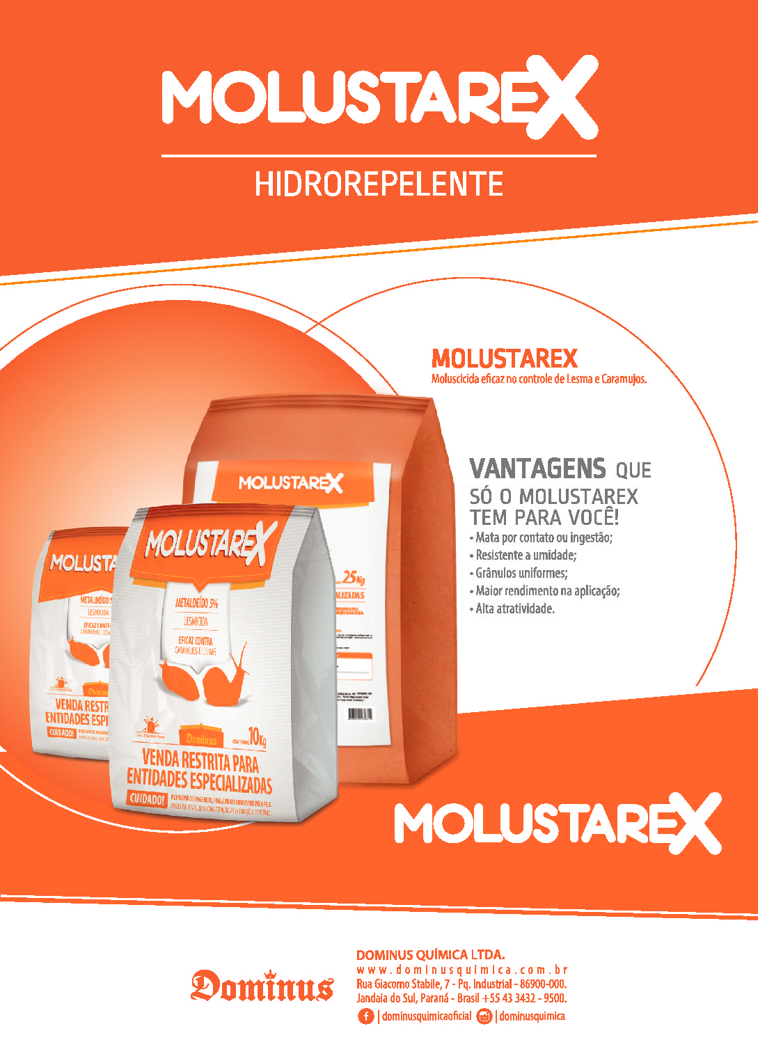 Molustarex Dominus - Imagem 2